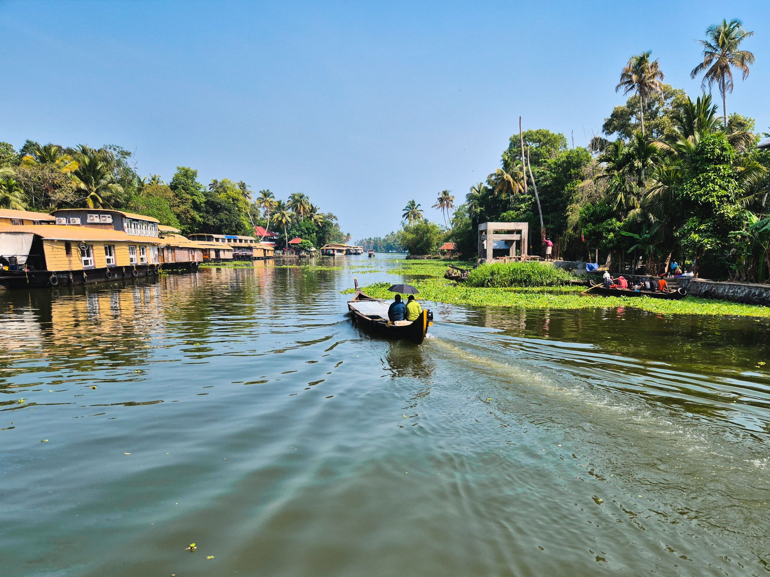 Explore the serene backwaters of Alappuzha, Kerala, with traditional boats and lush greenery.