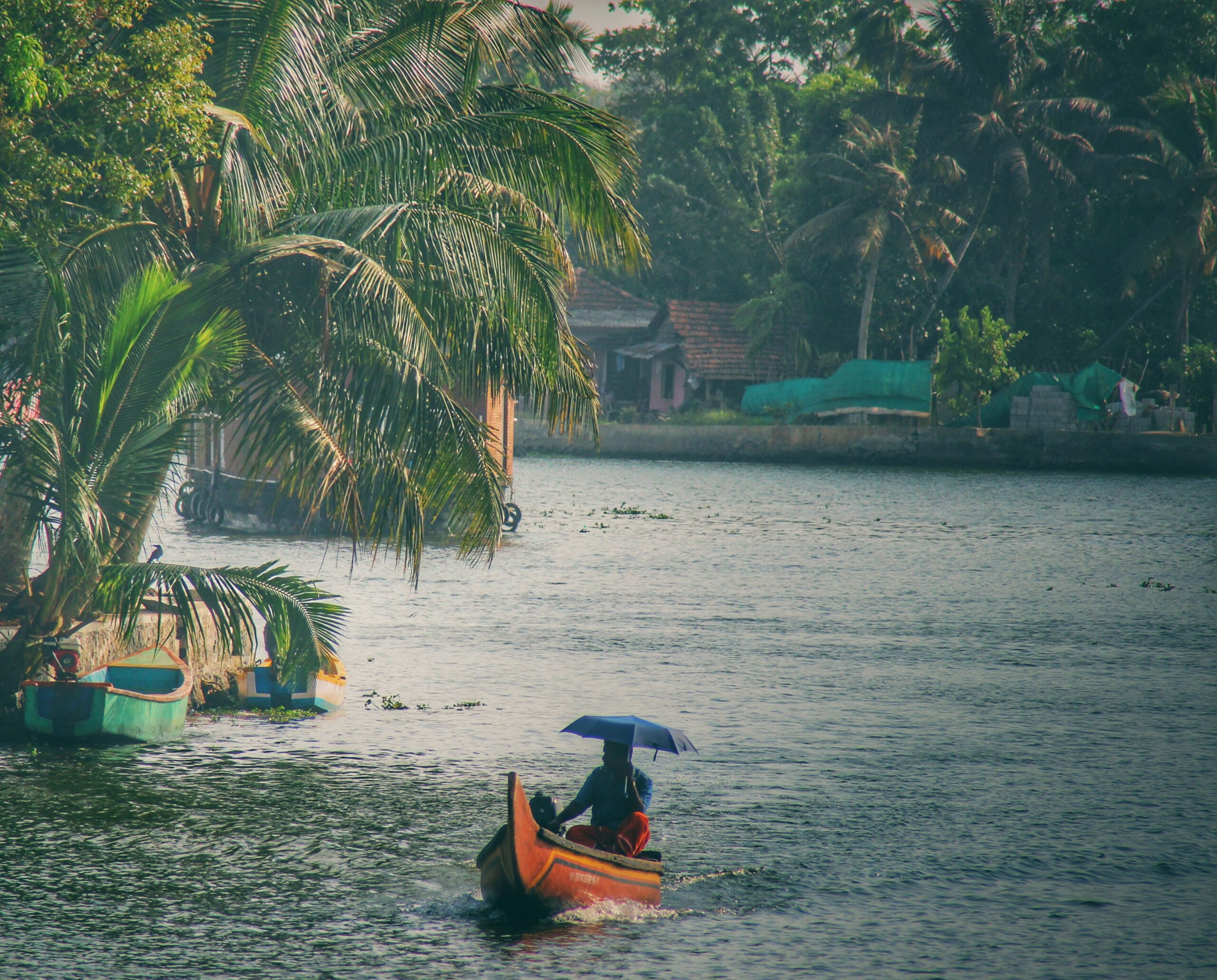 A person in a canoe navigates a serene river under a blue umbrella amidst lush palm trees.
